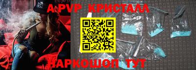 стафф Будённовск