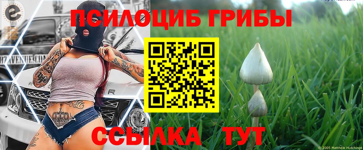 Кыштым  Псилоцибиновые грибы ЛСД  Вход с VPN 