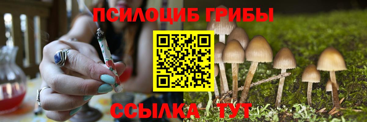 Псилоцибиновые грибы MAGIC MUSHROOMS Кыштым